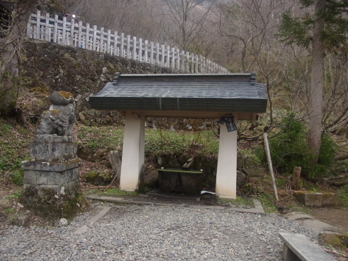 戸隠神社奥社参道の石段